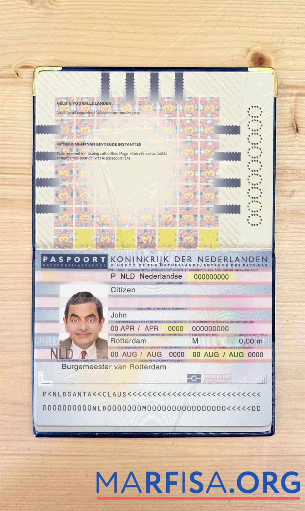 Realistic Netherlands (Holland) passport (2006 2016) photo look real example